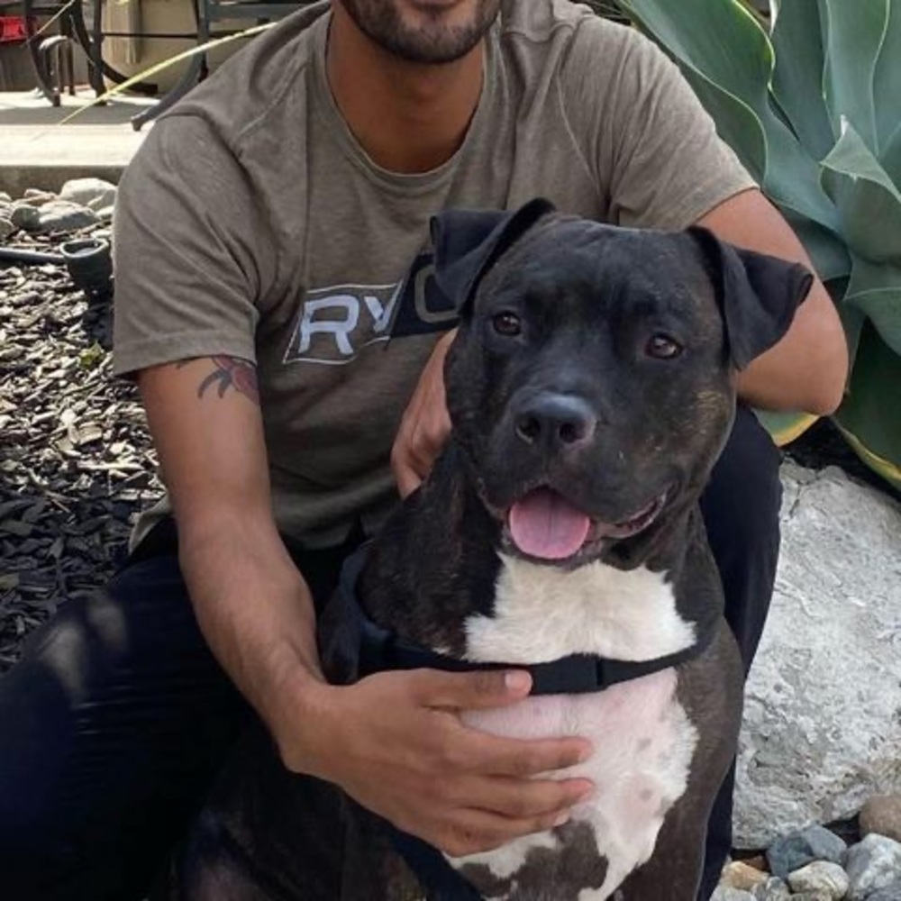 Meet your Posher, Anthony